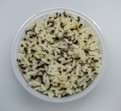 Ris med Quinoa