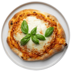 CALZONE CAPRICCIOSA