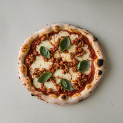 BOLOGNESE -S